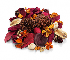 Marks and Spencer Potpourri