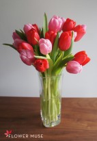 tulips-in-vase