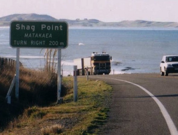 NZ-ShagPoint1