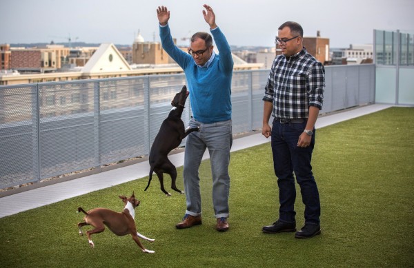 Image source; http://metro.co.uk/2016/10/15/this-dog-friendly-apartment-building-has-a-pup-park-on-the-roof-6194287/