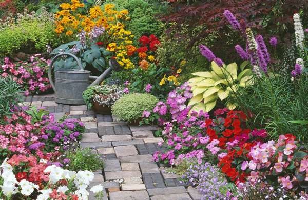 Ways To Make Your Garden Look Beautiful, How To Make Your Garden Look Nice Without Money