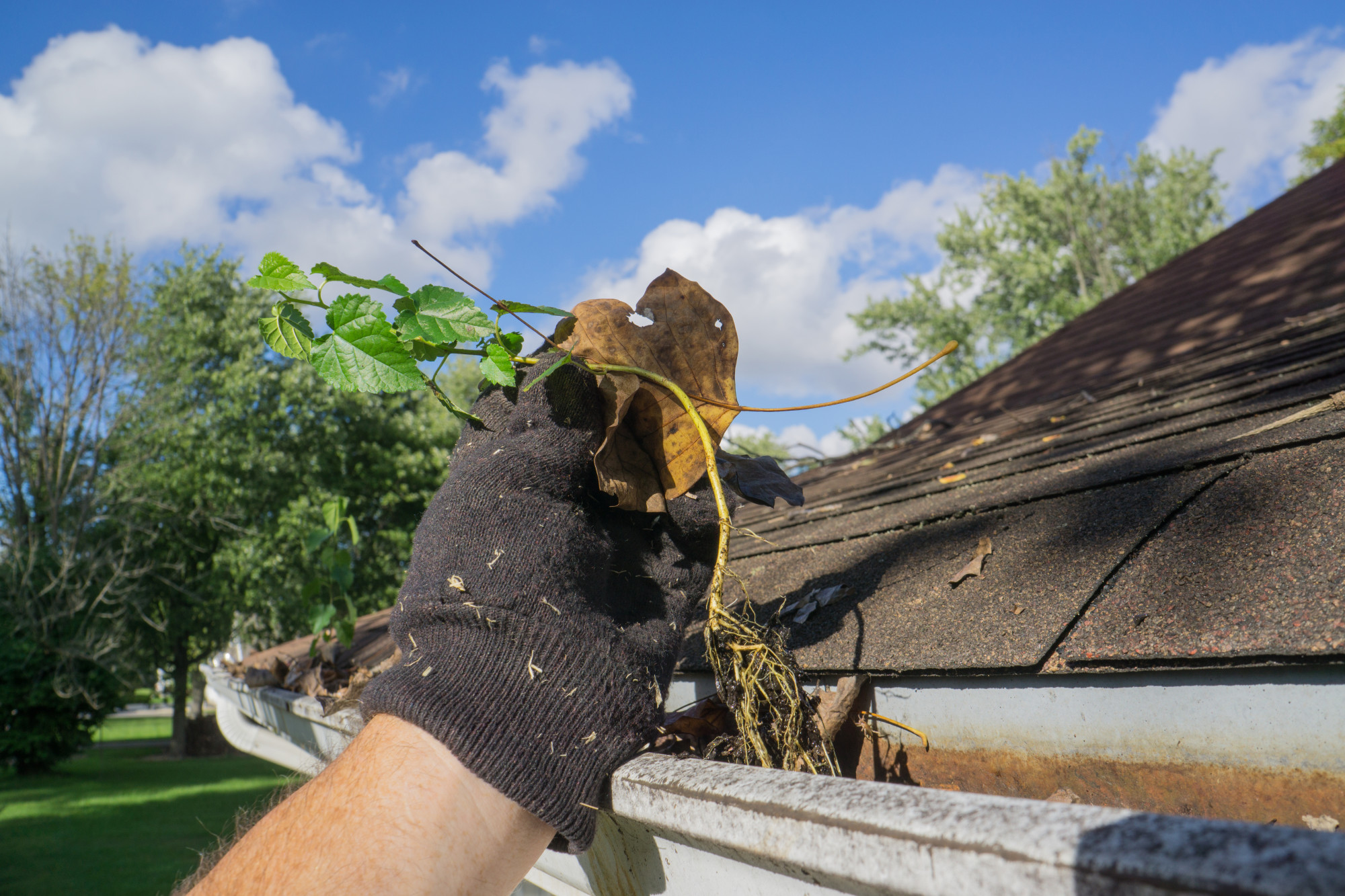 Edgewood Gutter Cleaning