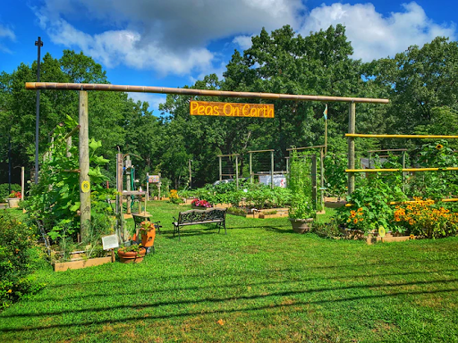 Top Ways to Decorate Your Garden 2