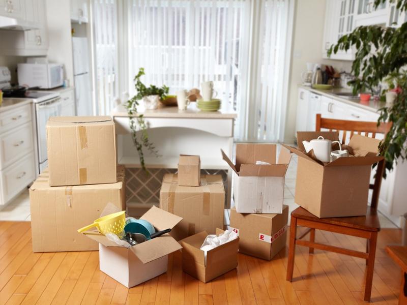 Why not choose the cheapest movers