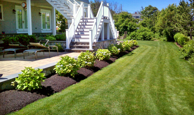 Professional vs DIY_ Which Lawn Care Program Is Best for You
