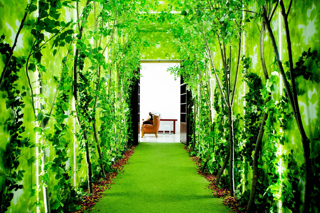 How To Make Your Backyard Look Like a Forest