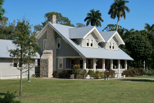 Image1