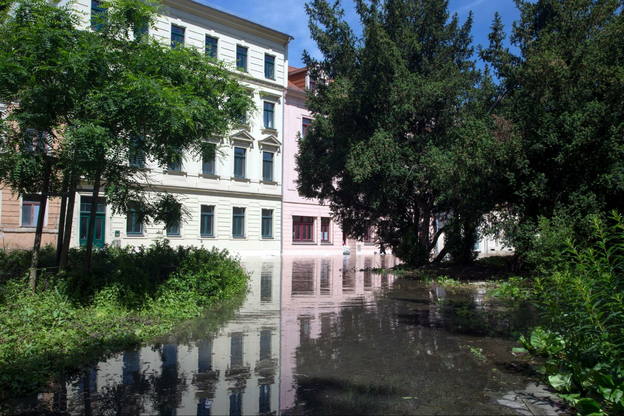 Image1
